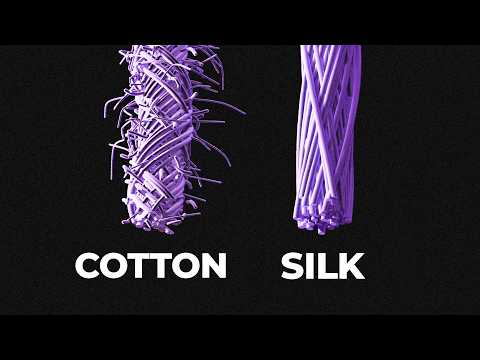 Why Silk Was So Expensive