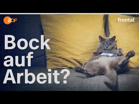 Streit ums Bürgergeld: Zu hoch, zu bequem, zu planlos? | frontal