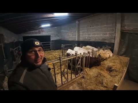 #FarmVlog 2 | Heute wird gemistet! #landwirtschaft 