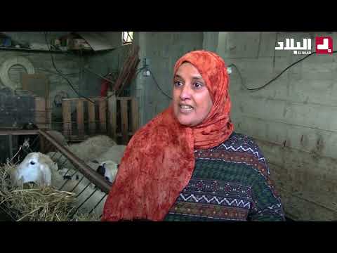 ام دودو مرآة جزائرية تتخلى عن المدينة لتسقر في الريف و تحقق حلمها