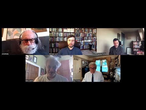 Discussion #1 with Chris Fields, Mark Solms, Karl Friston, and Thomas Pollak: introspection & more