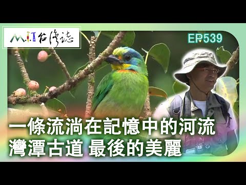 【MIT台灣誌 #539】一條流淌在記憶中的河流~灣潭古道 最後的美麗_1080p
