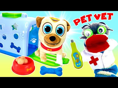 Fizzy The Pet Vet Helps His Fuzzy Friends Get Better LIVE