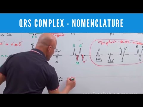 ECG | QRS Complex in EKG | Nomenclature | Electrocardiography🫀