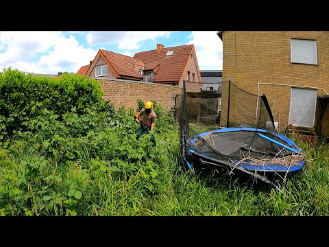 The Neighbor Said, You're WASTING YOUR TIME on this Yard!