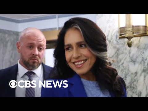 Senate Intelligence Committee Democrats seek hearing over FBI raid of Georgia election hub