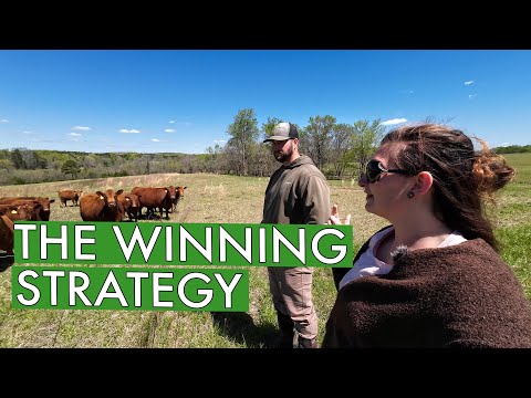 Sports Logic Meets Regenerative Farming (Harris Homeplace Farm)