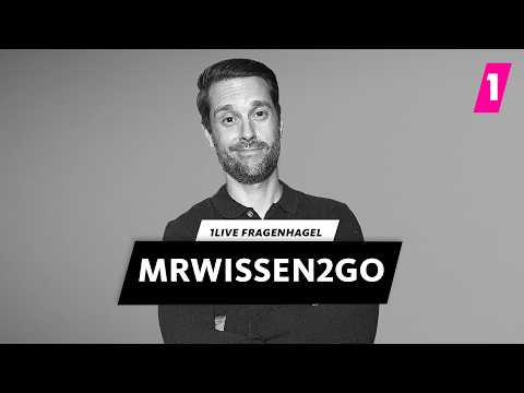 MrWissen2go: Wie gerne bist du zur Schule gegangen? | 1LIVE Fragenhagel