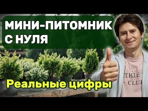 Сколько стоит открыть мини-питомник на даче? Реальные цифры и опыт