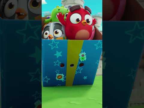 The Best Package Ever? 😍🎁