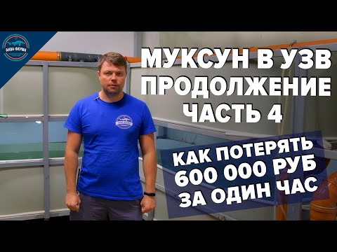 Muksun at AquaFarm Part 4. First Problems