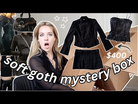 i got a $400 thrifted mystery box from @alexasunshine83
