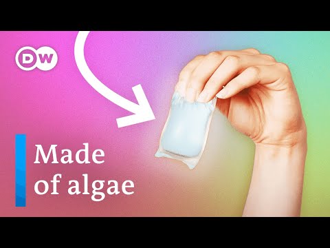 How to make "plastic" out of algae and mushrooms
