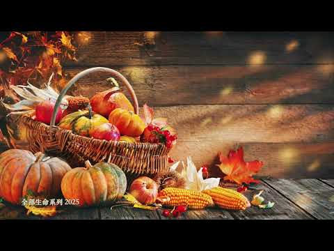 楊定一：感恩，就是中道