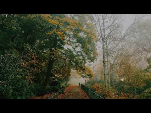 a playlist for slow walks through the peaceful, sunlit garden with soft tunes