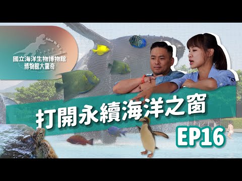 【下課花路米博物館大驚奇16】打開永續海洋之窗：國立海洋生物博物館