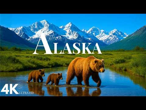 Alaska’s Untamed Beauty 4K: Untouched Wilderness & Incredible Wildlife