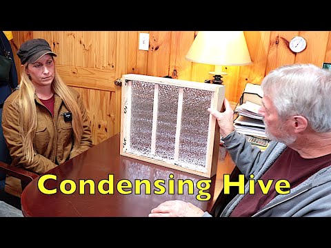 Condensing Beehive vs Ventilated