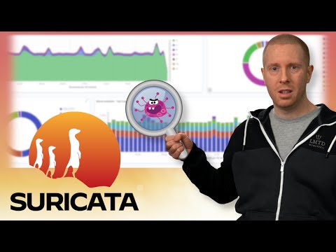 Visualising Network Threats