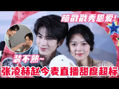 张凌赫赵今麦二搭发糖啦！张凌赫不对劲有点过于害羞了😮两位是第一部剧还没播就确定了二搭！直播两人全程聊到忘记流程？主持人都插不上话！#张凌赫 #赵今麦 #樱桃琥珀 #cdrama