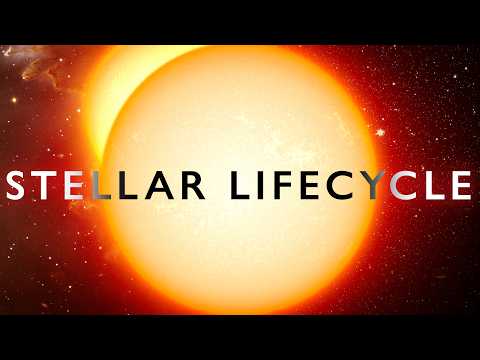 Stars from Birth to Death | In 4K