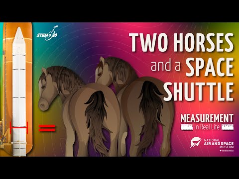 Two Horses and the Space Shuttle