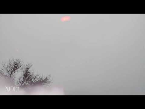 Eva Trecy -Aktive Fighter