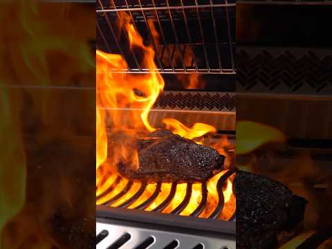 The World‘s Best Steak!