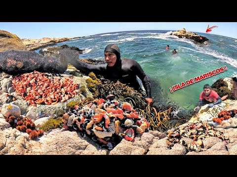 ¡Extracción Mortal! Pescadores cruzan una peligrosa isla de MARISCOS y esto fue lo que extrajeron