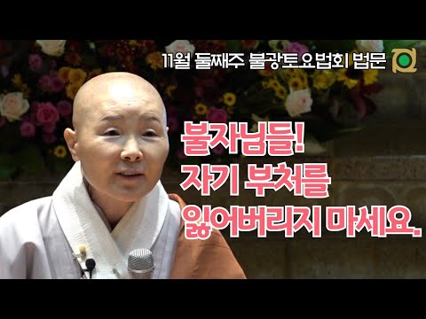 자기 부처를 잃어버리지 마세요ㅣ정목스님(정각사 주지)ㅣ11월 둘째주 불광토요법회 법문 #정목스님 #유나방송 #조견오온개공