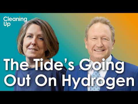 Is The Tide Turning On Hydrogen? Ep210: Andrew Forrest