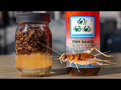 I made Fish Sauce out of CRICKETS… Here’s Why I’d Do It Again