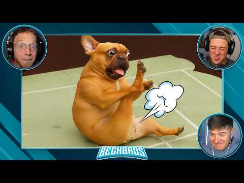 Funniest Animal Videos (Try Not To Laugh)