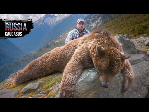 Trophy Hunting in Russia for the Caucasian Brown Bear [4K]