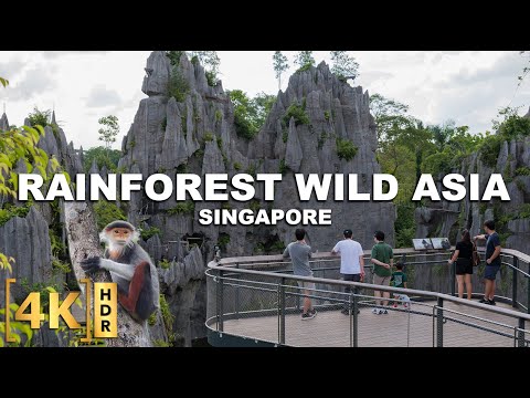 The NEWEST Wildlife Attraction in Singapore! RAINFOREST WILD ASIA -The First Adventure Park in Asia!