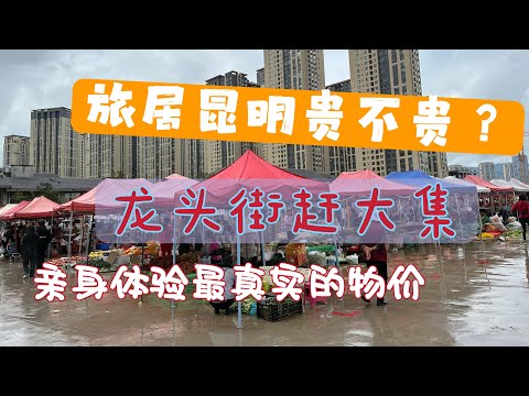 旅居昆明贵不贵?亲身体验最真实的物价|龙头街赶大集|昆明人赶龙头街Is Living in Kunming Expensive?Longtou Street Market|Kunming Life