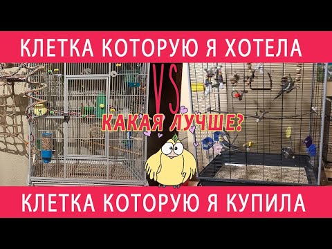 ОБЗОР НОВОЙ КЛЕТКИ Mcage И СРАВНЕНИЕ ЕЕ С КЛЕТКОЙ Ferplast Planeta КОТОРУЮ Я ОЧЕНЬ ХОЧУ КУПИТЬ