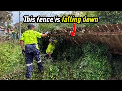 This Yard Was Hiding Something… and I Wasn’t Ready for It