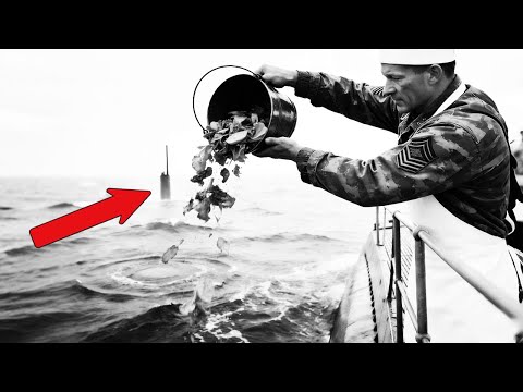 為什麼這名潛水艇廚師開始丟「殘羹剩飯」——結果卻擊沉了他找到的每一艘U型潛艇？真相驚人 ...