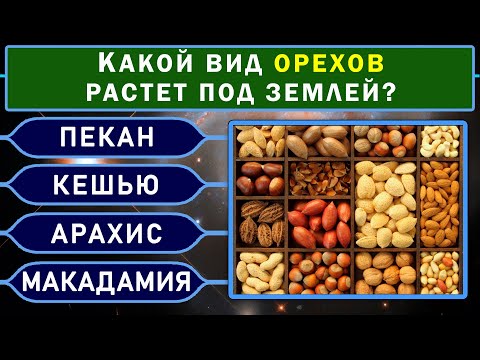 Тест на эрудицию! ТОЛЬКО УМНЫЙ ОТВЕТИТ на 8 из 15 вопросов ПРАВИЛЬНО! #тестнаэрудицию #эрудиция