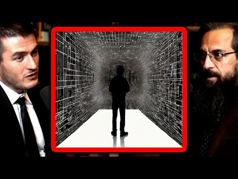 Each human lives inside their own simulation | Roman Yampolskiy and Lex Fridman