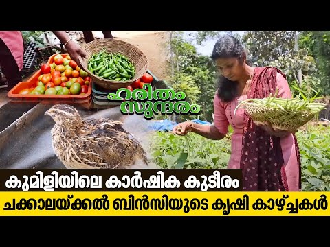 Watch how Bincy from Kumily makes huge income through home farming | Haritham Sundaram EP 437