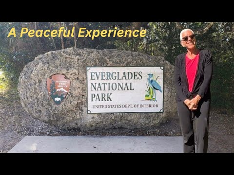 Everglades National Park: Amazing Wildlife | A Peaceful Day | A Lovely Day