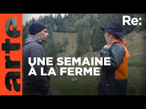 Suisse : des citadins bénévoles dans les alpages | ARTE Regards