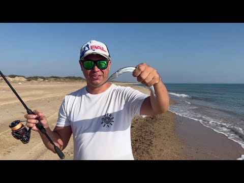 Ловим, готовим Саргана. Отдых на райском пляже! Веселовка - Бугазская коса.