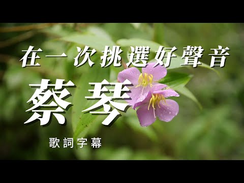 細挑好聲音（蔡琴）👍🏻用心分享高音質￼