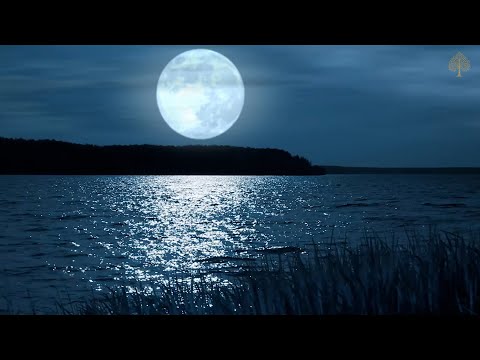 Fall Asleep In Less Than 4 Minutes - Relaxing Music To Help You Sleep - Deep Sleep Music E02