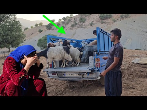 ✨ **Life in the Colors of Nature: A Tale of Harmony and Joy Among the Chavil Nomads** ✨