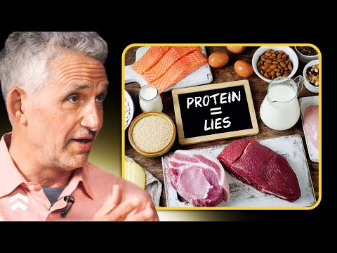 Dr. Tim Spector Reveals The Hidden Truth About Protein Intake