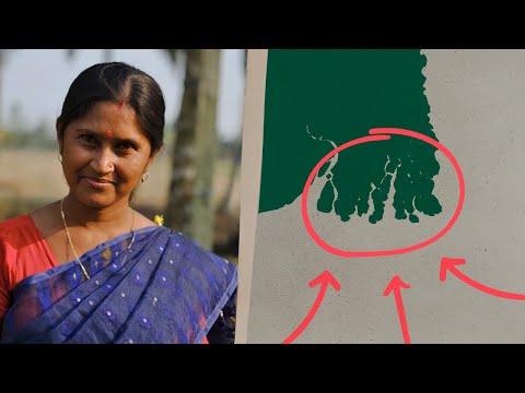 These Trees in India are Breaking Records (we found out why)